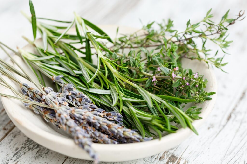 gate74-herbs-2523119_1280 Kräuterbüschel in einem Teller